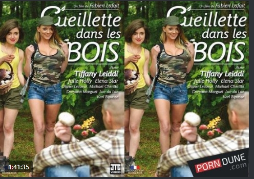 Cueillette dans les bois